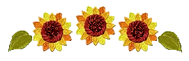 sunflower-divider